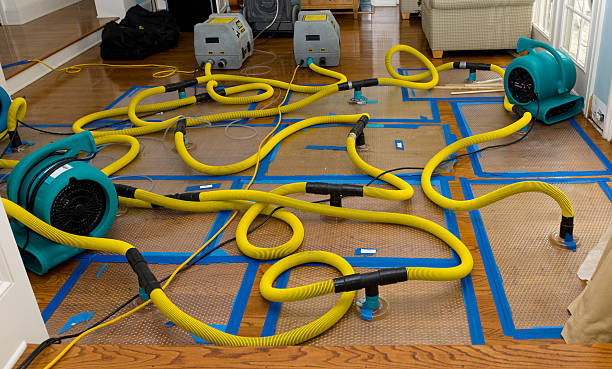 Professional Flood Damage Restoration technician working in Altamont, KS