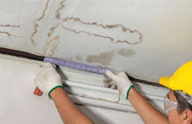 Affordable Water Damage Repair solutions in Altamont, KS